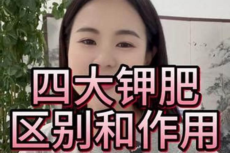 水稻倒伏用什么肥