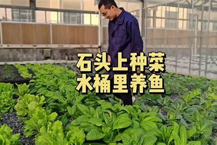 高钾食物含钾一览表