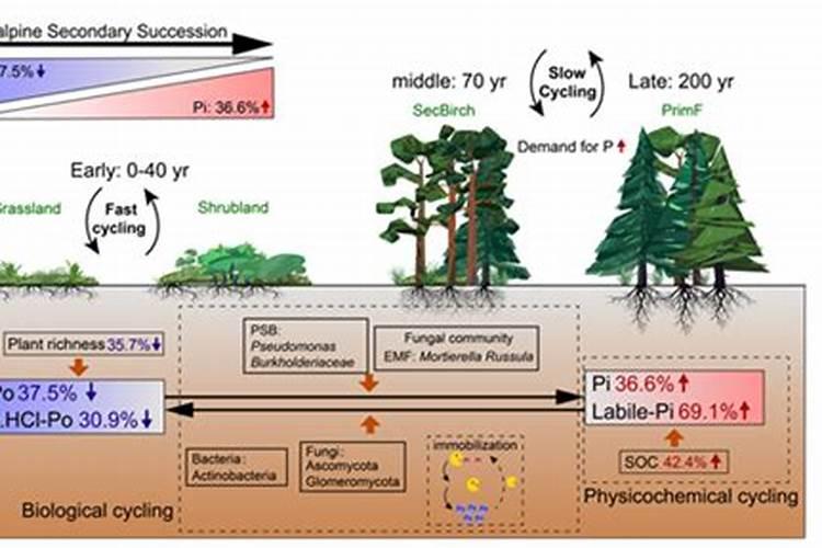 简述磷肥的使用方法