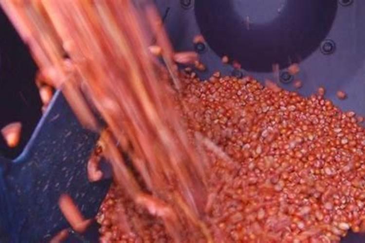 硼肥使用方法及注意事项