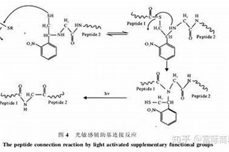 多肽氮肥与多肽尿素的区别