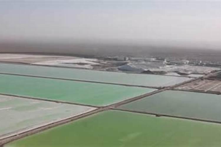 复合肥养分标识中中微量元素含量达到多少才能标注