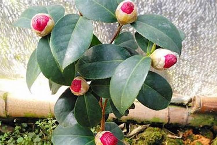 浙江新安化工厂简介介