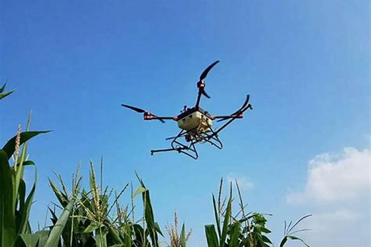 黄腐酸钾能当生根剂吗