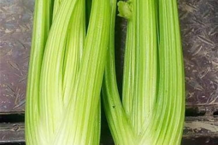 西芹的种植方法