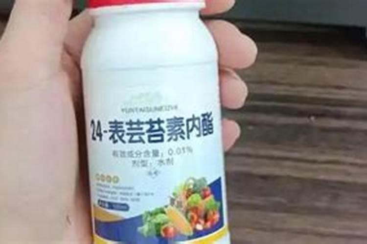 蔬菜专用肥料十大品牌、浇菜用什么肥料最好