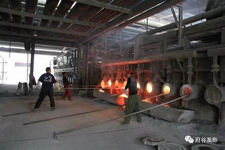 抗病毒的西红柿品种有哪些？