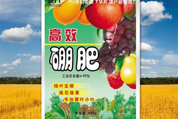 硼肥不能和什么一起用？如果使用错误会产生哪些影响？