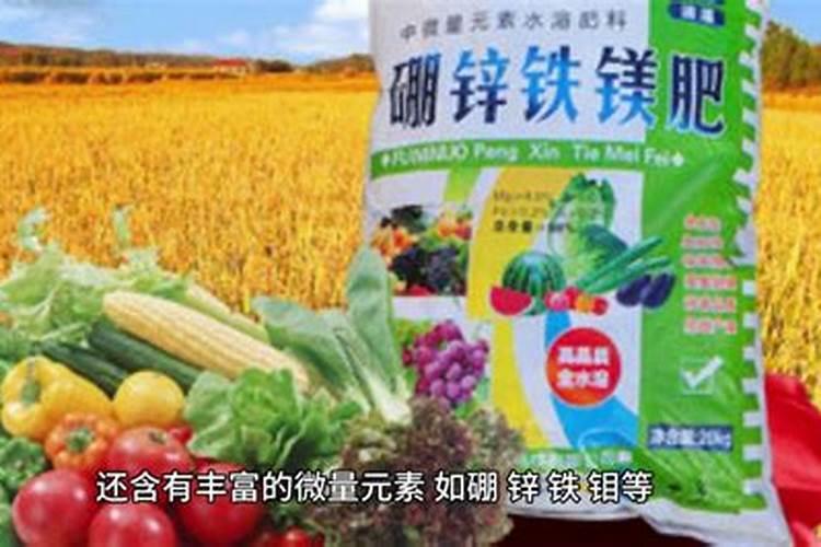 微量元素肥料有几种施用方法？