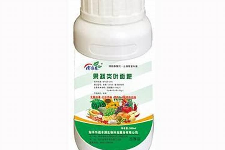 烟台北方果蔬技术开发连锁有限公司怎么样？
