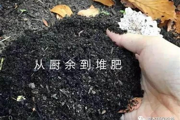 使用有机肥的好处是什么？