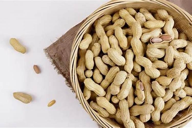 绿萝施什么肥料最好