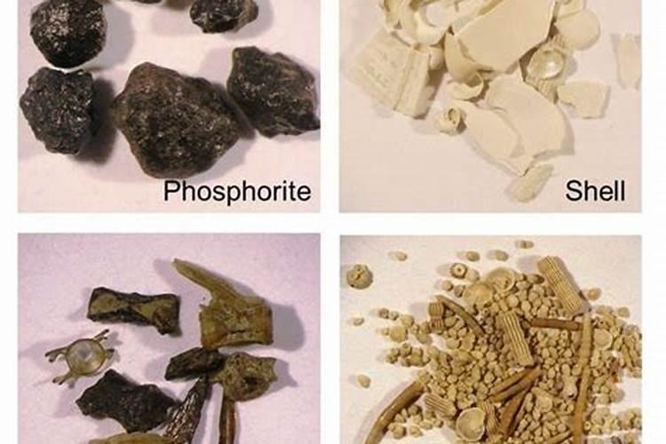 磷肥的分类有哪些？