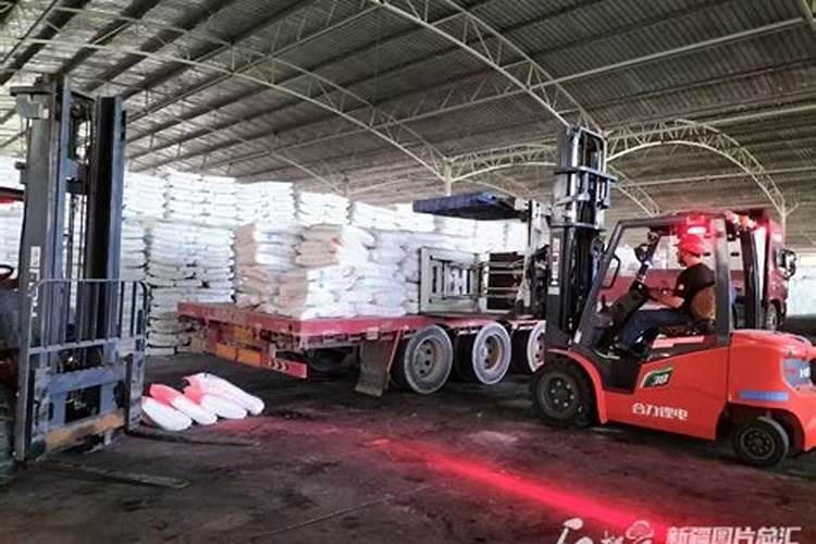 阿克苏苹果六月施肥用什么化肥