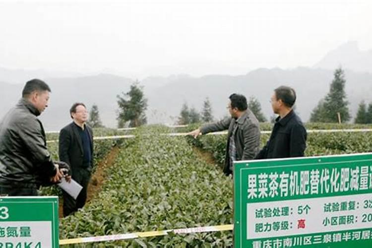 肥料研制与加工目录