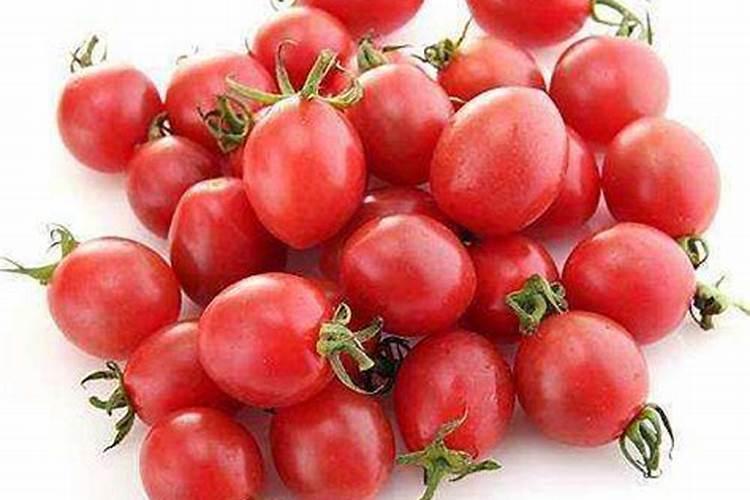 温室种植千禧柿子想要高产,都该掌握哪些种植技巧？