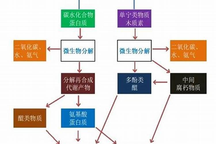 乌金绿有机水溶肥可以浇发财树吗？