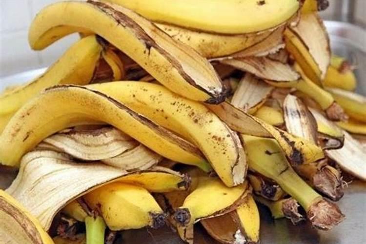 桃树秋季施肥用什么肥料