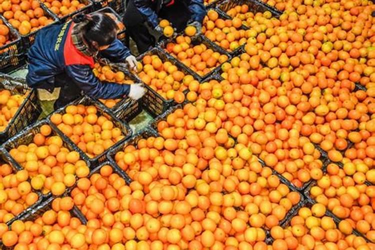 氨基酸水溶肥的作用和功效