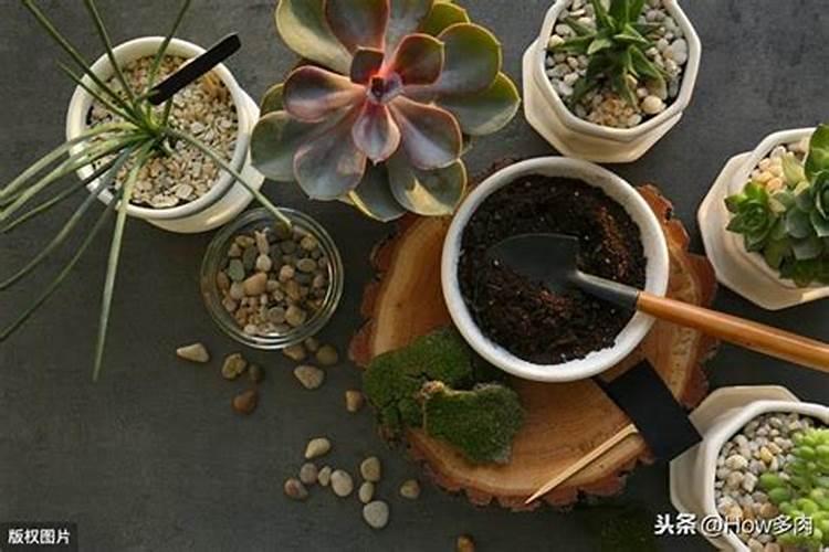 硼肥会随水流失吗？