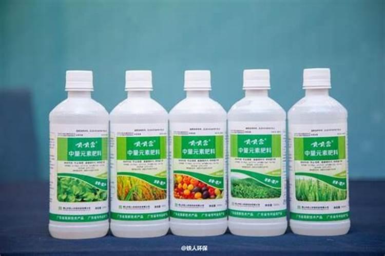 移栽的辣椒苗几天缓苗