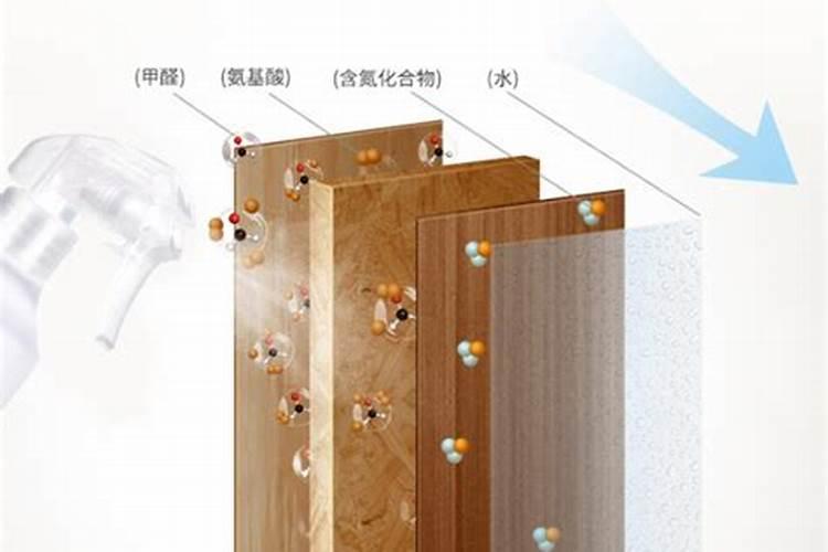 月季施肥过多症状