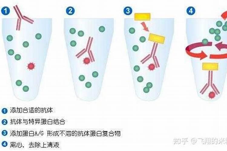 养鱼时,分解鱼的排泄物有哪些方法？