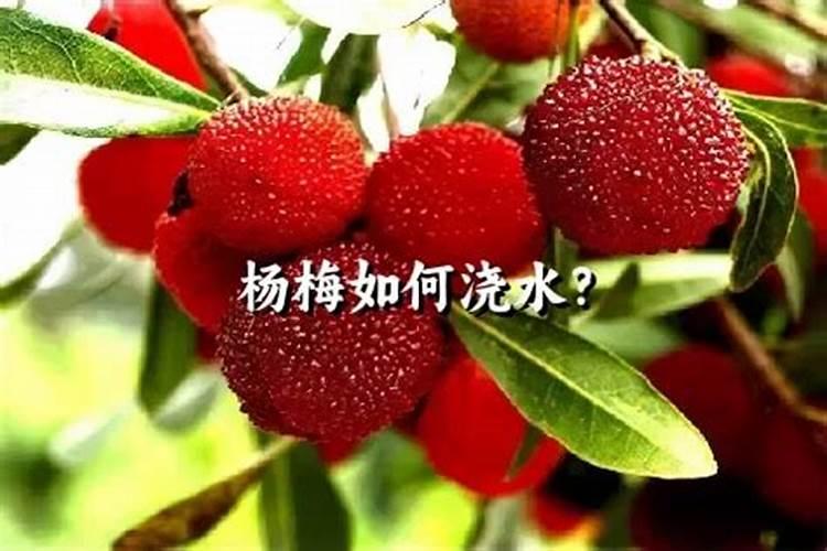 水溶肥的使用方法和注意事项 水溶肥有哪些