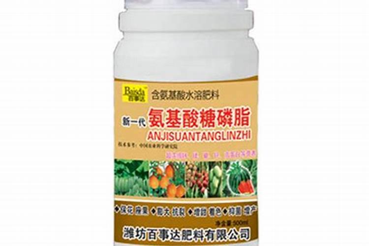 李子果食的病害有哪些