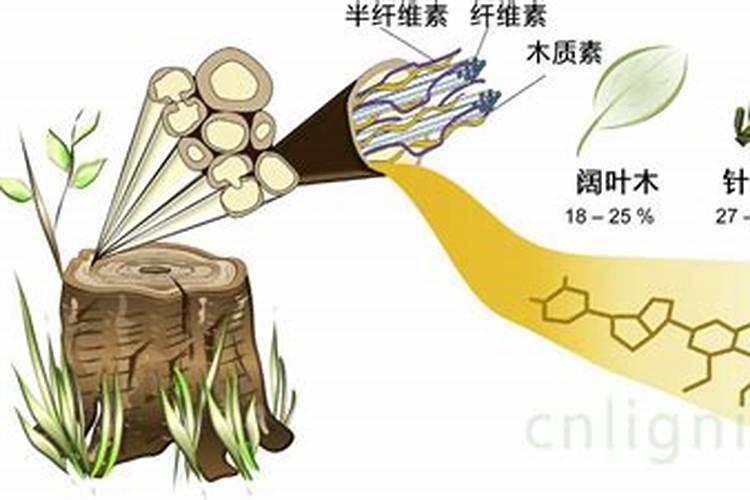 矿源黄腐酸钾和生化黄腐酸钾,区别是什么？