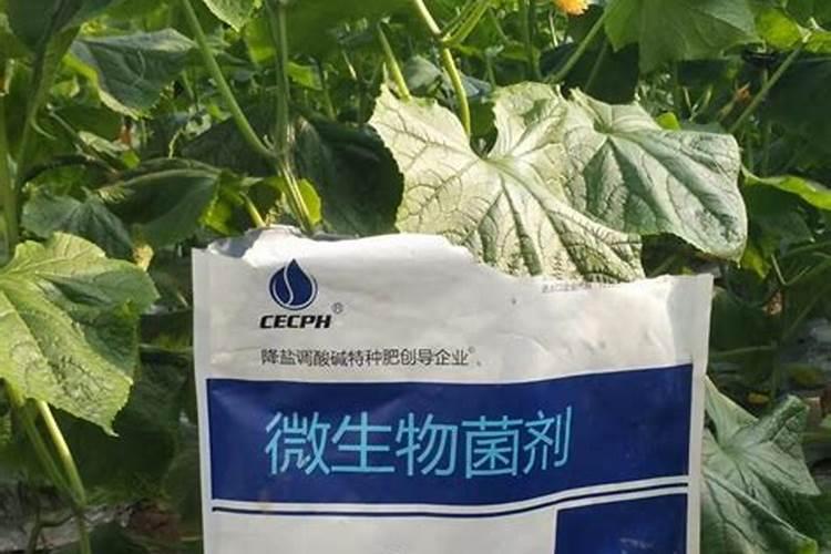 冲施肥和水溶肥哪个好