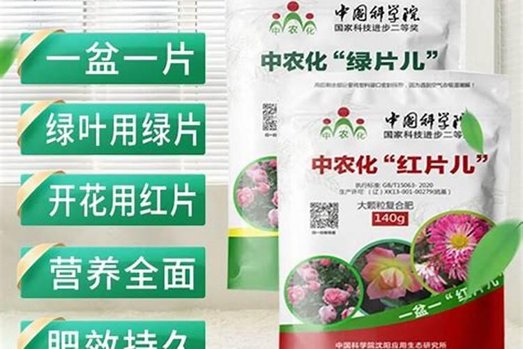 小麦灌浆期一般是几月,灌浆期打什么叶面肥