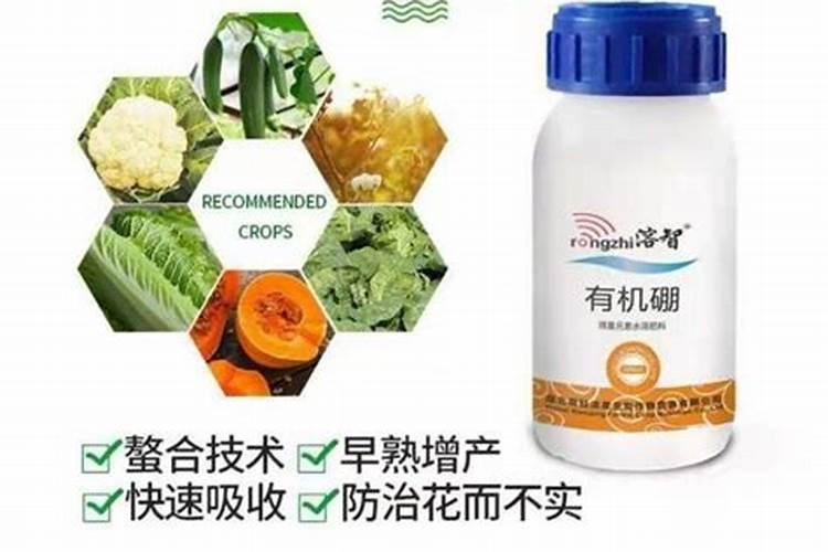 三角梅施肥什么肥最好