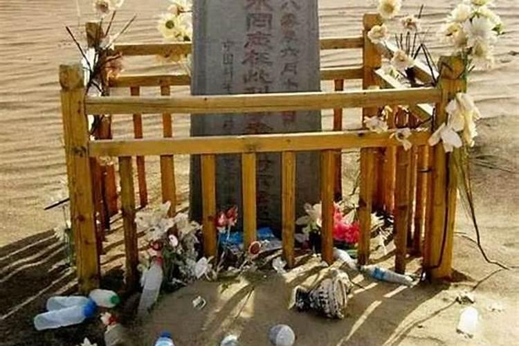 君子兰开花时能浇水吗