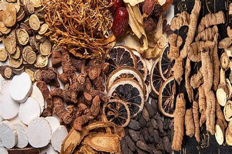 月季树施肥和浇水