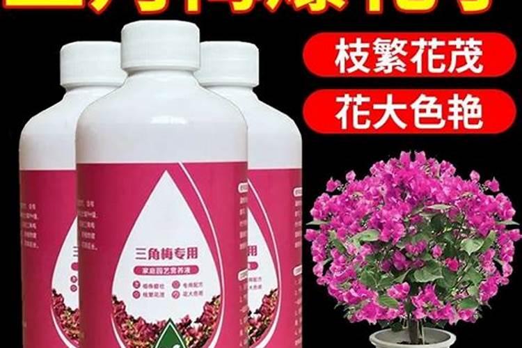 万宁市有哪些市场