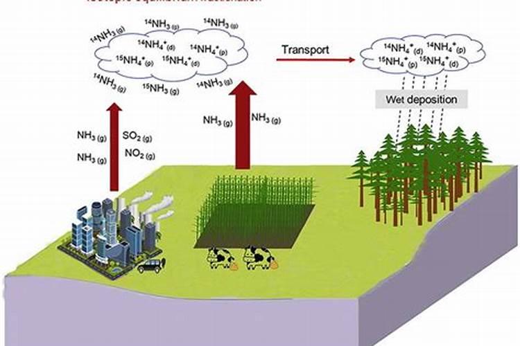 葡萄糖对植物有哪些作用？