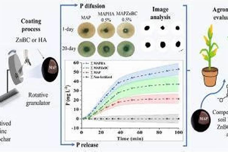 腐殖酸和腐植酸有什么不同