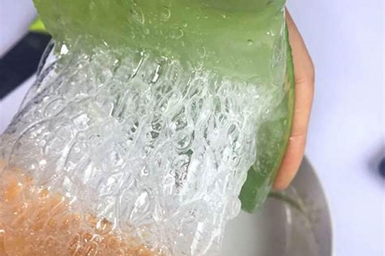 库拉索芦荟如何养植