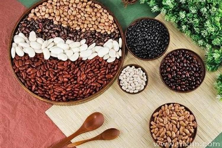 如何用豆子做肥料种白菜