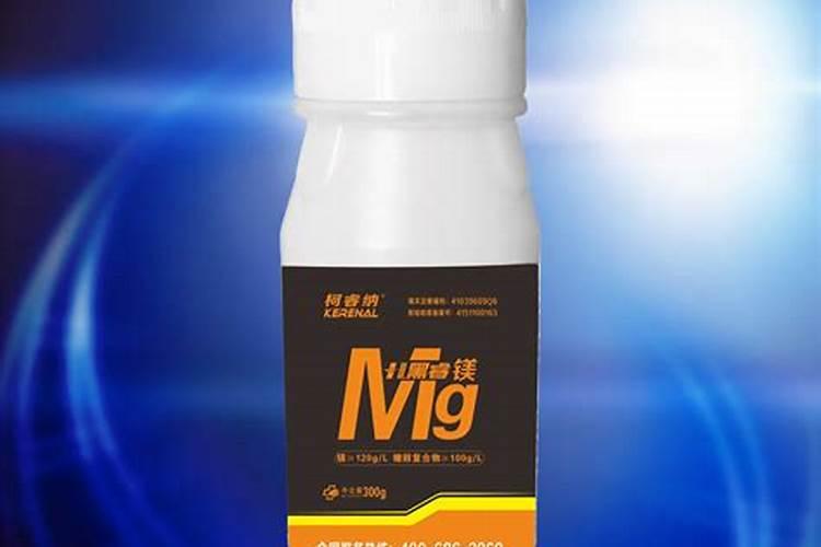 发财树怎么施肥施什么肥