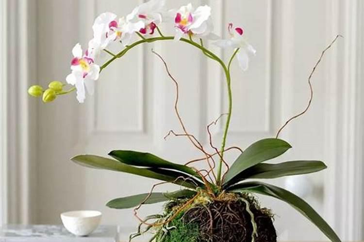 矿源黄腐酸钾怎么使用？矿源黄腐酸钾一亩地用多少？矿源黄腐酸钾的...