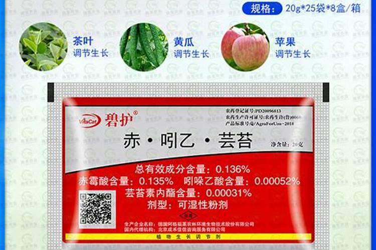 怎么把多肉养出状态