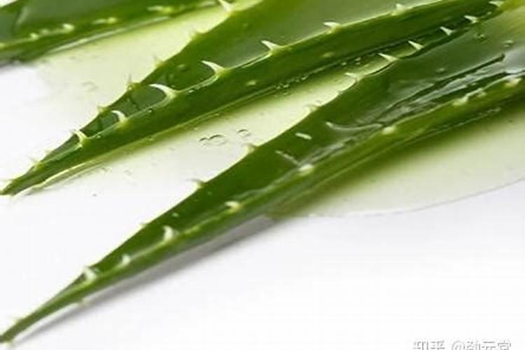 马铃薯第一次冲肥什么好？尿素还是复合肥