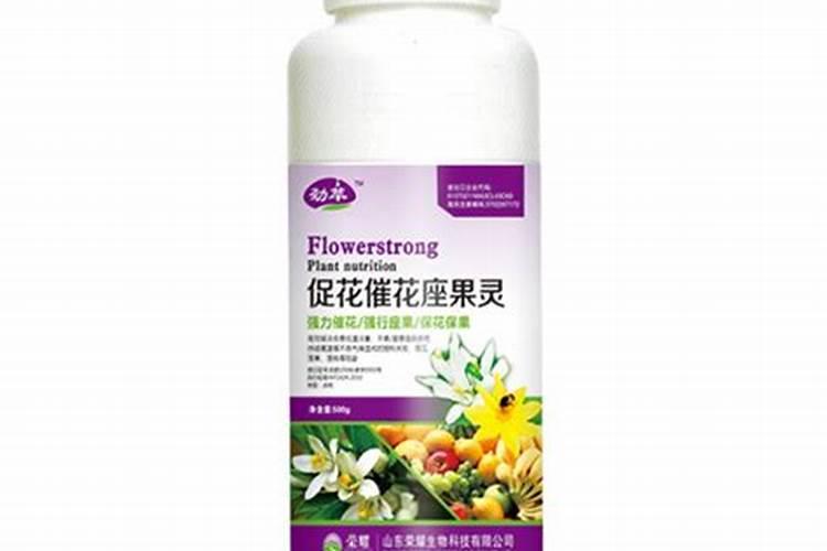 蓝莓膨果期施什么肥比较好