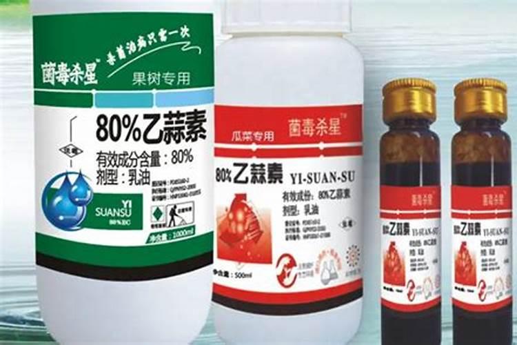 黄瓜叶子流能原因是什么？真样能治疗？