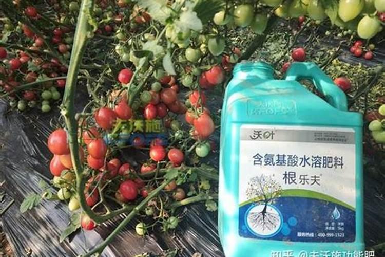 水溶肥排名前十位的有哪些品牌