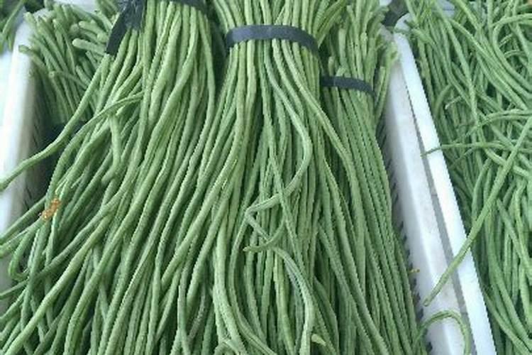 豆角怎么判断是否施过叶面肥