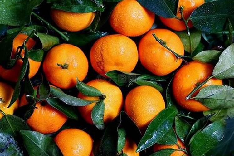 柑橘转色采收期如何施用水溶肥,颜值高品质才能更好
