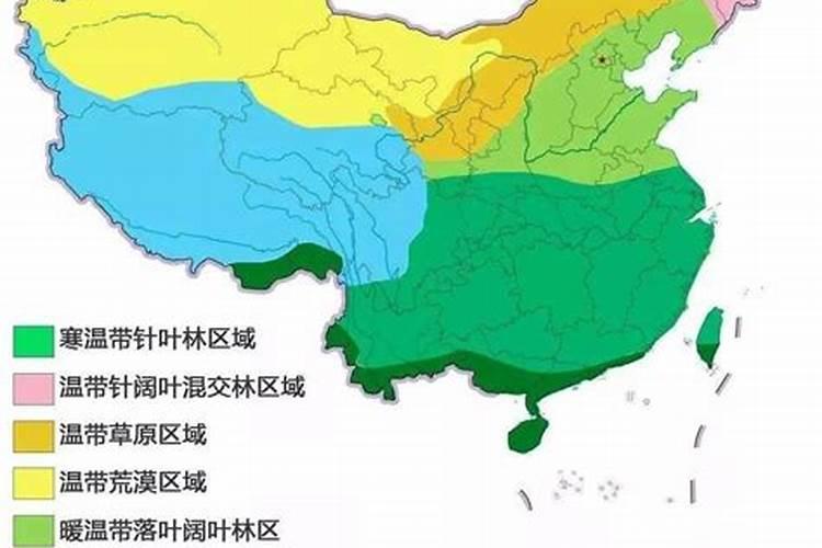 现在玉米冲施肥用什么肥料最好